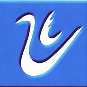 Zhecheng Media Center logo